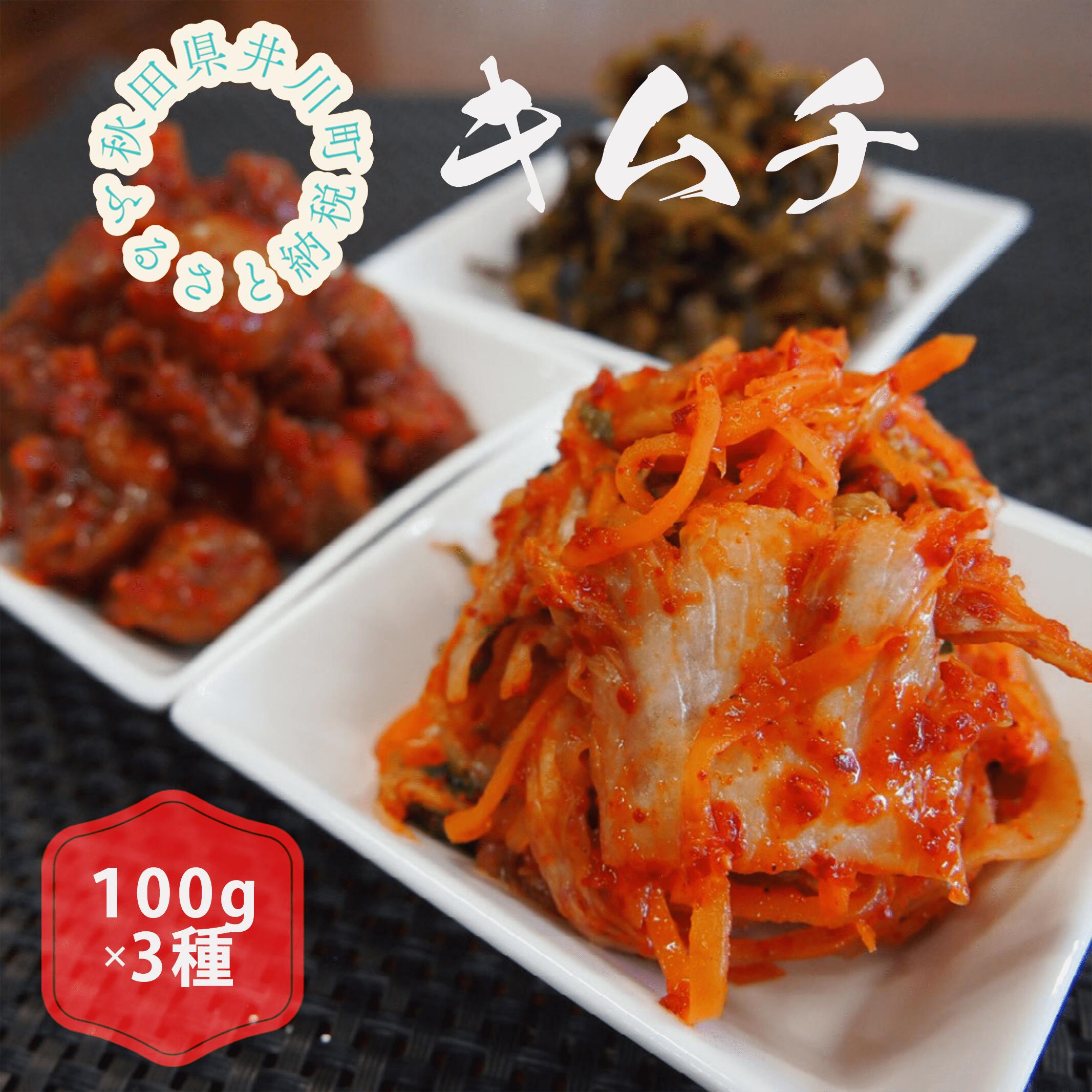 【ふるさと納税】【先行受付2025年12月発送】親がだのキムチ　100g×3種類（白菜、梅、高菜）