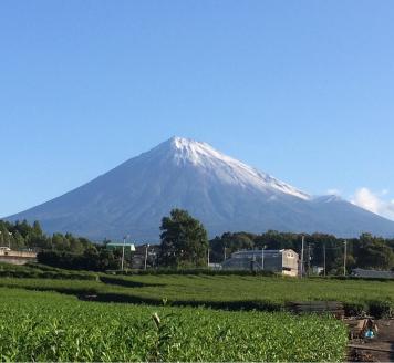 特上煎茶「辰蔵」100g×２種 、ティーバッグ 5g×30袋、和スイーツ (羊羹) 詰合せセット 贈答 和菓子 富士のやぶ北茶 静岡茶 お茶葉 老舗大正5年創業 村松園 富士市 (a1027)