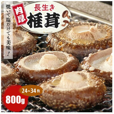 【ふるさと納税】焼いて塩だけでも美味!「肉厚」長生き椎茸800g(24～34枚)×1パック【配送不可地域：離島】【1665538】