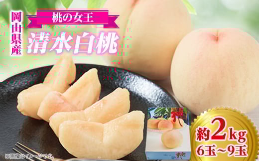 
＜桃の女王＞　美作産ブランド桃　清水白桃　2kg箱(6玉～9玉)【1112962】
