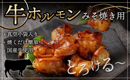 牛・豚・鶏ももみそ焼きセット(牛ホルモン・豚ロース・若鶏もも)≪みやこんじょ特急便≫_AA-I601-Q_(都城市) 国産 真空 牛ホルモンみそ焼き用 豚ロース肉みそステーキ用 若鶏みそ焼き用