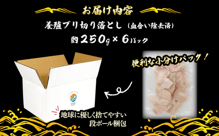 ブリ 訳あり 鰤 ぶり 切り落とし 計約 1.5kg （ 250g × 6 パック ） 南予ビージョイ 訳あり わけあり 鰤 ブリ ぶり buri 養殖 刺身 お刺身 漬け丼 茶漬け 鰤しゃぶ ぶりし