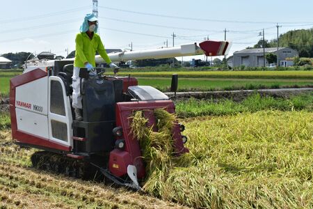 利根町産【特別栽培米】コシヒカリ　精米5kg