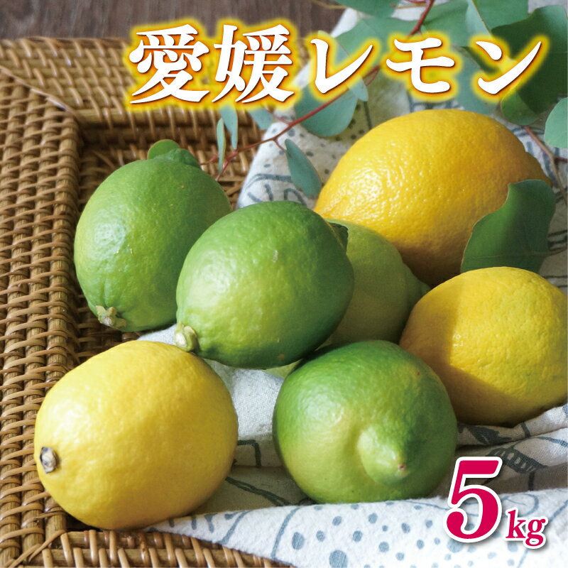 【ふるさと納税】 数量限定 愛媛 レモン 5kg 小玉 7000円 贈答用 10000円 柑橘 檸檬 国産 れもん 期間限定 ワックス 防腐剤 不使用 有機栽培 特産品 フルーツ 果物 柑橘 人気 おいしい 産地直送 農家直送 レモンサワー レモン酎ハイ 等に 前田ファーム 愛南町 愛媛県