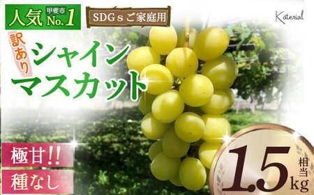 2025年発送 訳あり 約1.5㎏ SDGs シャインマスカット 山梨県産 国産 産地直送 人気 おすすめ 贈答 ギフト お取り寄せ フルーツ 果物 くだもの ぶどう ブドウ 葡萄 わけあり ワケアリ