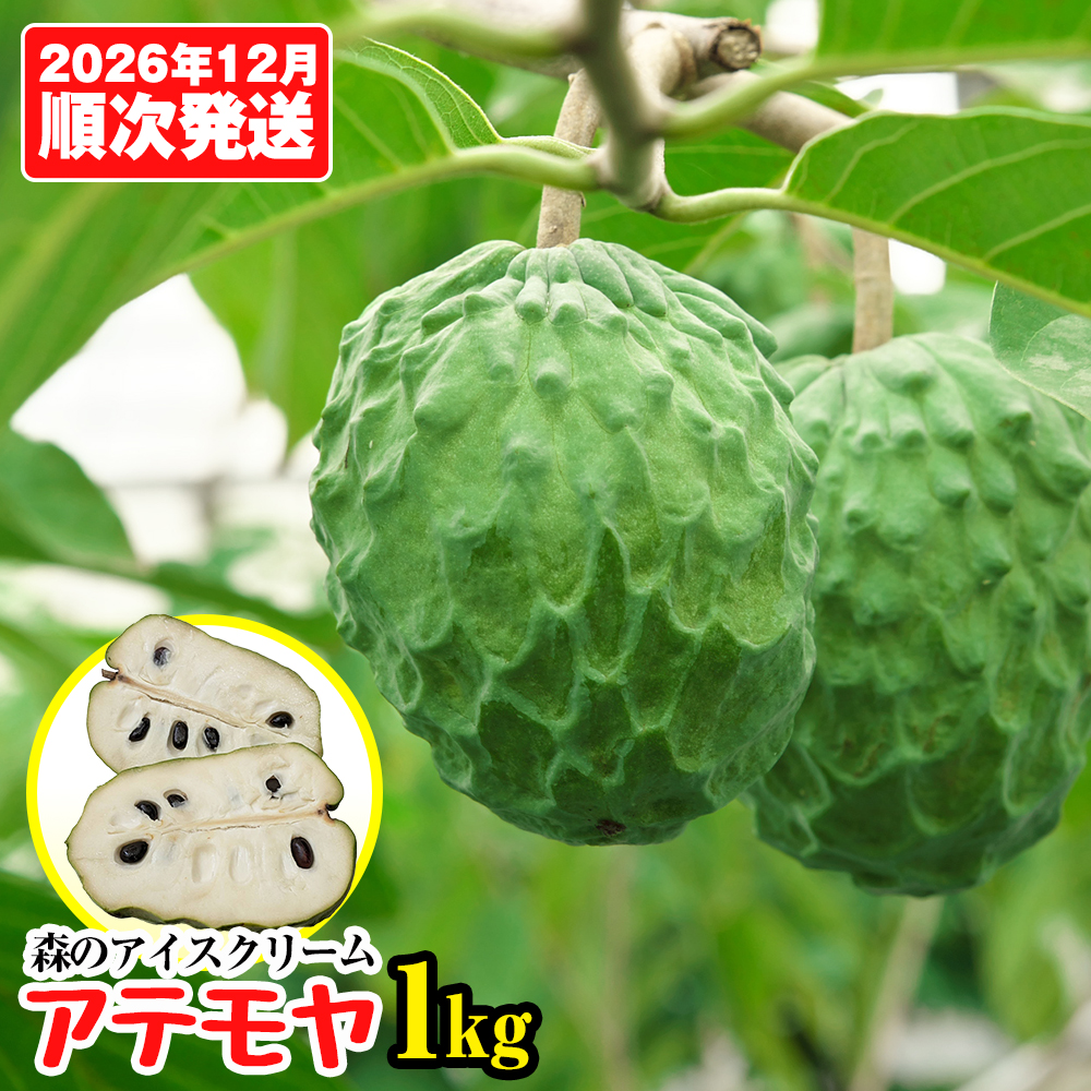【2026年12月中旬から順次発送】森のアイスクリーム キラリファームのアテモヤ 1kg