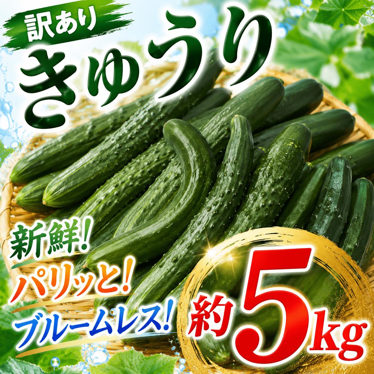 【ふるさと納税】 訳あり きゅうり 約5kg キュウリ 野菜 夏野菜 サラダ 夏やさい わけあり 訳アリ ワケアリ 訳有 訳有り きゅーり ぬか漬け 胡瓜 浅漬け 1本漬け 冷やしきゅうり ちくわきゅうり 産地直送 新鮮 訳あり 関東 kyuuri 千葉県 香取市