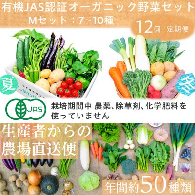 【毎月定期便】有機野菜　Mセット　オーガニック 野菜 セット　有機JAS　しあわせ野菜畑　全12回【配送不可地域：離島・北海道・沖縄県・四国・九州】