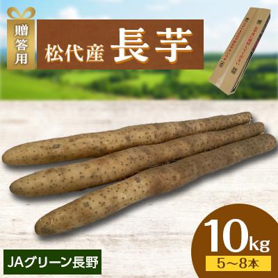 ふるさと納税 長野市 【先行受付】JAグリーン長野　松代産　長芋　10kg(5〜8本)　贈答用