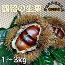 【ふるさと納税】 石岡鶴沼の 生栗　1～3kg（茨城県共通返礼品・石岡市産）