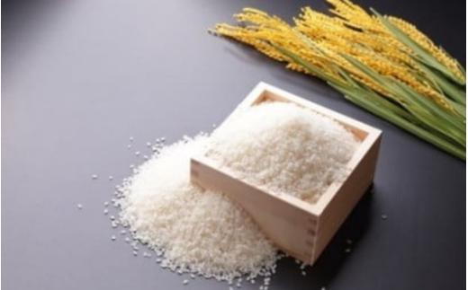 ＜定期便 全6回＞ 令和7年新米 真庭市産 太安さんちのあきたこまち 無洗米 10kg（5kg×2袋）×6回 / お米 国産 岡山県 人気 ブランド 2025年産 【tkns-tkb049】