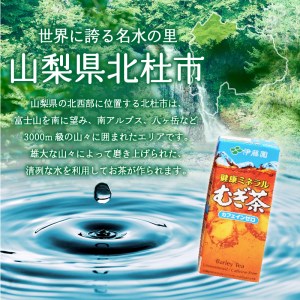 健康ミネラルむぎ茶　250ml　24本　伊藤園　紙パック  麦茶 カフェインゼロ 1ケース24本 ドリンク 配達 仕送りギフト 防災 7000 10000円以下 1万円以下 [h132]