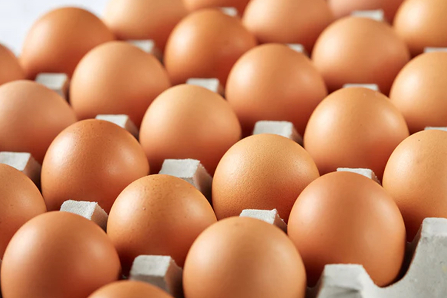 上原養鶏場のはっこう卵(赤卵）MS~Lサイズ 55個+破卵保障5個