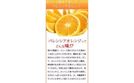 秀品 希少な国産バレンシアオレンジ 2.5kg【2024年6月下旬頃～2024年7月上旬頃に順次発送】【UT75】