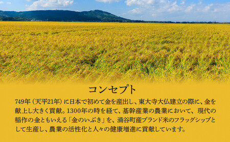 金のいぶき玄米 10kg