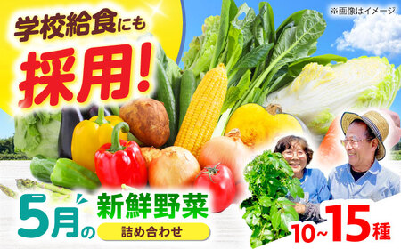 高槻野菜おまかせ詰め合わせセット 5月（10種〜15種）[AOCS011] 野菜セット