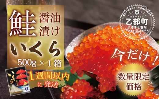 【数量限定 特別価格】＜いくら醤油漬　1パック（500ｇ）＞鮮度にこだわる「笹谷商店」の絶品の醤油タレで漬けたいくら（検索：イクラ 鮭いくら 鮭イクラ 醤油いくら 醤油イクラ いくら醤油漬け イクラ醤油漬け 醤油漬 いくら丼 秋鮭 国産 北海道産 北海道乙部町 日本海 冷凍 人気 訳あり 定額減税 使い道 ふるさと納税）