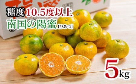 【先行予約】極早生みかん「南国の陽蜜」５kg 宮崎県西都産＜1-220＞