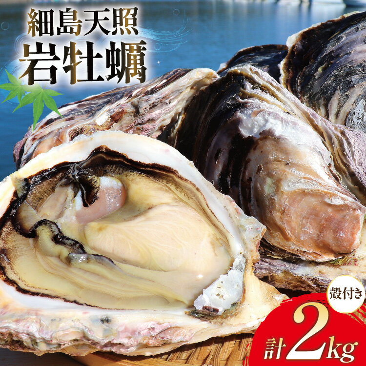 【ふるさと納税】 【期間限定発送】 牡蠣 細島天照 岩牡蠣 2kg 殻付き [一福丸 宮崎県 日向市 452061387] ほそしま かき カキ 岩ガキ 日豊海岸 濃厚 クリーミー BBQ 生食