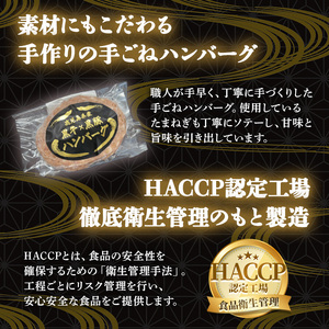 ＜定期便・全3回(連続)＞鹿児島黒牛黒豚ハンバーグ(8個・計1.04kg×3回) 国産 九州産 鹿児島県産 お肉 ぶた ブタ 豚肉 牛肉 ミンチ パック 小分け 冷凍 冷凍ハンバーグ 定期便 頒布会 