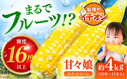 【令和8年度熊本地震復興支援】【先行予約】【2027年6月上旬より順次発送】スイートコーン (甘々娘) 約4kg (10〜11本) / トウモロコシ 甘い スイートコーン とうもろこし 焼きとうもろこし 茹でとうもろこし 高糖度 かんかんむすめ【なかむら農園】 [BHCJ001]
