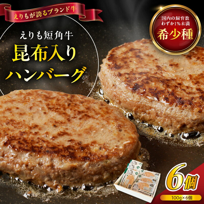 【ふるさと納税】昆布入り ハンバーグ えりも 短角牛 100g × 6袋 牛肉100% 和牛 牛肉 肉 ブランド牛 希少種 国産 小分け 個包装 冷凍 ヘルシー 惣菜 おかず 和風 お弁当 お取り寄せ 送料無料 北海道 えりも町
