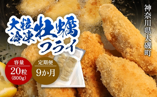 159-2020-26-07　【定期便9カ月】大粒カキフライ 20粒 【冷凍 牡蠣 かき 大粒 冷凍カキフライ 魚介類 海鮮 惣菜 おかず ギフト 簡単調理 冷凍配送 送料無料 神奈川県 大磯町】
