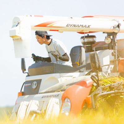 ふるさと納税 上越市 【令和6年産　2024年10月より順次発送】特別栽培米コシヒカリ【無洗米】5kg×1袋　新潟県上越産 |  | 03