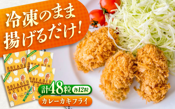 冷凍 カキフライ  (カレー 計48粒)  広島県産 冷凍カキフライ 広島牡蠣 牡蠣 かき カキ  料理 簡単 魚介類 海鮮 ギフト 広島県福山市/クニヒロ株式会社 [BACG011]