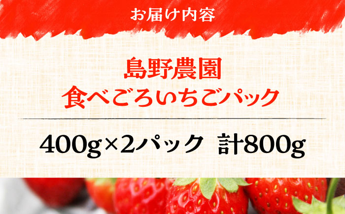 【先行予約】【数量限定20セット】島野農園のいちご（400g×2パック） 紅ほっぺ ほしうらら スターナイト 【島野農園】 [AKHV002]