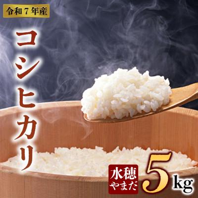 ふるさと納税 阿蘇市 令和7年産 コシヒカリ 5kg (白米) 水穂やまだ