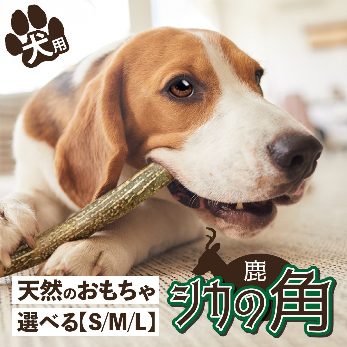 
            犬が喜ぶおやつ♪ 鹿角 1本 選べるサイズ（S・M・L）【犬 犬のおやつ ペット おもちゃ シカ ツノ 鹿の角 しか つの 鹿 角】
          