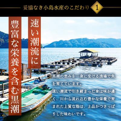 ふるさと納税 須崎市 乙女鯛 まるごと2匹 |  | 01