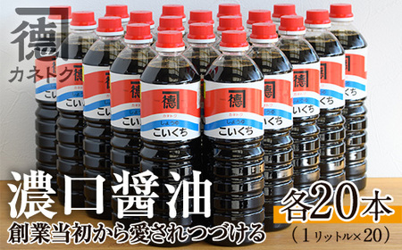 濃口醤油(1L×20本)国産 調味料 大豆 しょうゆ しょう油 詰め合わせ【佐賀屋醸造店】a-47-1