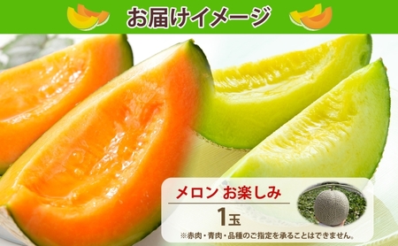 【2026年発送 先行予約】のざわ農園 日高 赤肉メロン 1玉 めろん メロン 赤い 青い 甘い 夏 フルーツ 果実 ルピアレッド 糖度 甘み 濃厚 肥料 贈り物 お中元 お歳暮 常温 冷蔵庫 家族 