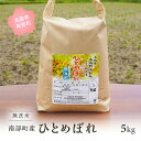 【ふるさと納税】＜令和6年産・新米＞鳥取県南部町産 無洗米 ひとめぼれ 5kg 5キロ 米 お米 おこめ こめ コメ ヒトメボレ 無洗 板谷米穀店