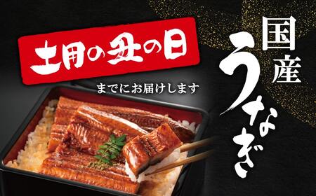 【土用の丑の日までにお届け(7月14日～18日発送)】 国産うなぎ3尾 計300g以上 数量限定 先行予約 さかい河岸水産 ※サイズ無選別 蒲焼き 鰻 ウナギ K1804