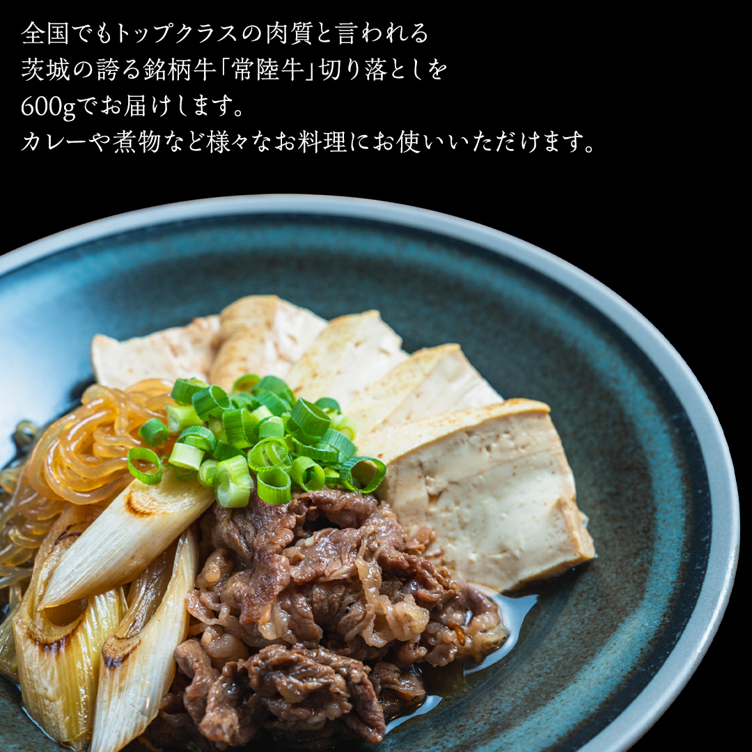 常陸牛 切り落とし 約 600g （茨城県共通返礼品：行方市） ひたちぎゅう 黒毛和牛 牛肉 ひたち牛 ブランド牛 切り落し 切落し