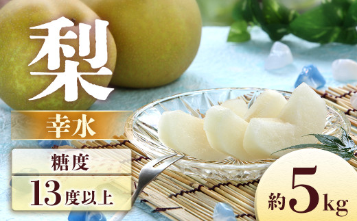 【2027年発送先行予約】梨 幸水 約5kg【8～16玉】※2027年8月中旬～9月上旬発送予定※