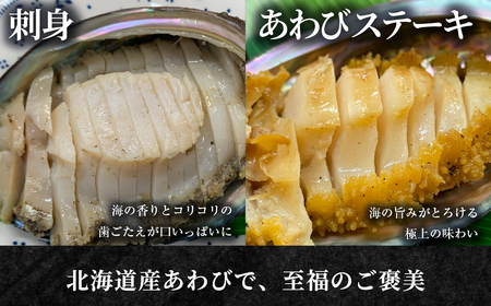 北海道室蘭産 天然活蝦夷あわび 2個入（1個100g～120g前後）（2026年1月中旬頃お届け） MROH009 | あわび