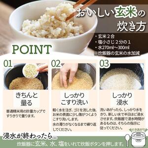 [定期便3回]矢板市特別栽培米 こしひかり 玄米 5kg×4P | お米 米 こめ 白米 玄米 にじのきらめき コシヒカリ こしひかり 美味しい お弁当 選べる エコ スマート 環境 手間暇 土づくり