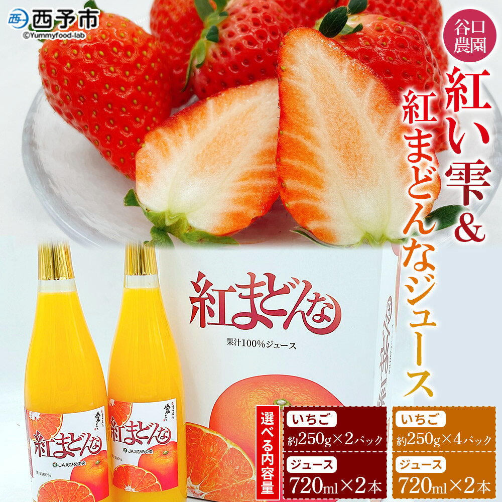 【ふるさと納税】＜谷口農園のいちご「紅い雫」(約250g×2パック／4パック)＆紅まどんなジュース720ml×2本セット＞イチゴ 果物 フルーツ 紅マドンナ ストレートジュース 果汁100％ フジ・アグリフーズ 愛媛県 西予市【冷蔵】『2026年4月迄に順次発送予定』