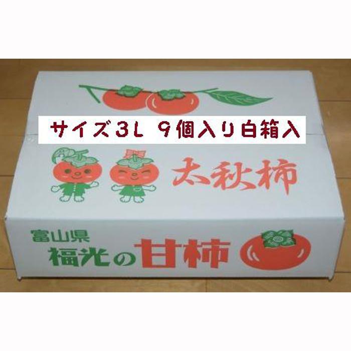 【ふるさと納税】甘柿　太秋柿3L×9個入（2.3kg以上） 白箱入り【2026年10月15日頃より発送】 | かき カキ フルーツ 果物 くだもの 秋 果物類 食品 農園 旬ギフト 秋果物 富山産 新鮮 果実 収穫直送 食べ頃 産地直送 自然栽培 人気 おすすめ 送料無料