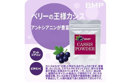 BMP カシスパウダー お試し100g（カシス濃縮果汁粉末）