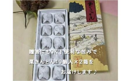 人気商品!! 中津川銘菓：栗きんとん20個（10個入×2箱）[秋季限定]【10月お届け】 F4N-2310