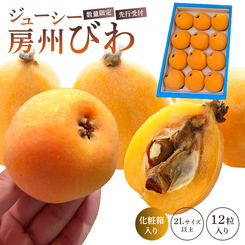 【ふるさと納税】【先行受付 2025年5月中旬～6月中旬発送予定】 生産者直送 ジューシー房州びわ 2Lサイズ以上 化粧箱入り 【数量限定】 千葉県 南房総市 枇杷 果物 フルーツ 季節限定 新鮮 食べ応え 大きい 甘い 程よい酸味 お取り寄せ 送料無料