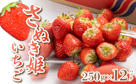 【ふるさと納税】さぬき姫いちご (250g×12パック)