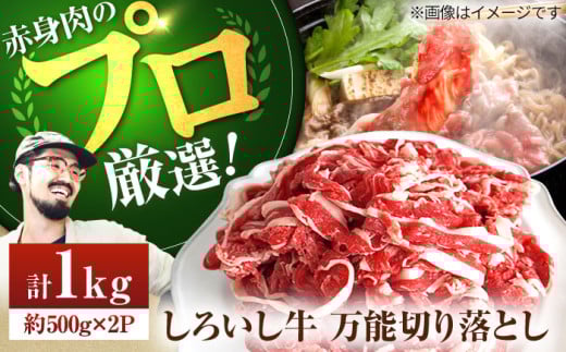 【牧場直送】佐賀県産 しろいし牛 万能 切落し 1kg（500g×2パック）【有限会社佐賀セントラル牧場】肉 牛肉 切り落とし 佐賀 おすすめ 万能 夜ご飯 夜ごはん 晩ご飯 [IAH005]