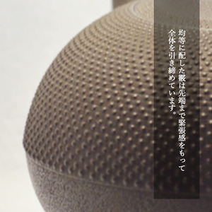 霰姥口玉形鉄瓶 （大）【田山鐵瓶工房】／ 南部鉄器 鉄器 工芸 工芸品 伝統工芸品 伝統 現代の名工 献上品 鉄瓶 IH対応 オール熱源 IH ih ガス 直火 やかん ケトル 鉄分補給 鉄分 日本製