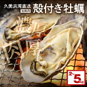 【ふるさと納税】朝採れ、鮮度抜群！濃厚！肉厚！久美浜湾直送　殻付き牡蠣 2kg 3kg 5kg 選べる 魚介 貝 国産 肉厚 真牡蠣 加熱用 殻付き 養殖牡蠣 海のミルク ふるさと 納税 牡蠣 牡蛎 ふるさと 納税 かき カキ 人気 正規品 大粒 贈り物 海鮮 貝 京都 日本海 生産者支援